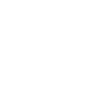 icon globe.2