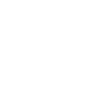 icon manufacturing.2