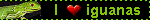 IMG 3133.gif