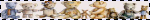 IMG 3179.gif