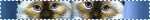 IMG 3137.gif