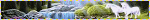 IMG 3141.gif