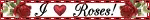 IMG 3246.gif