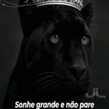 63923.gif