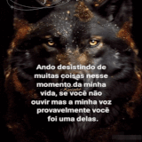 63920.gif