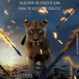 63926.gif
