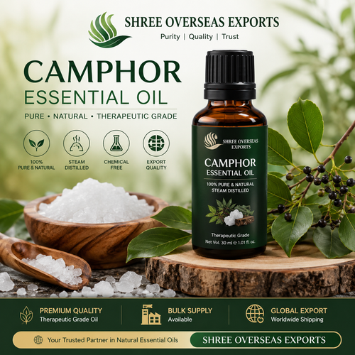 Camphor Essential Oil Supplier India Pure Wholesale, Bulk Supply and Export Guide.png