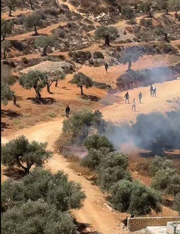 صورة الخبر