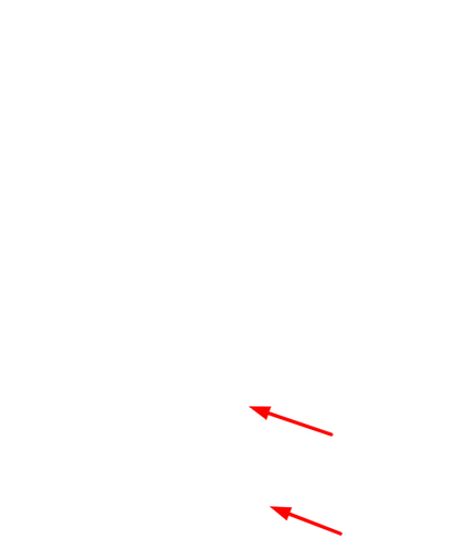 phone in header.png