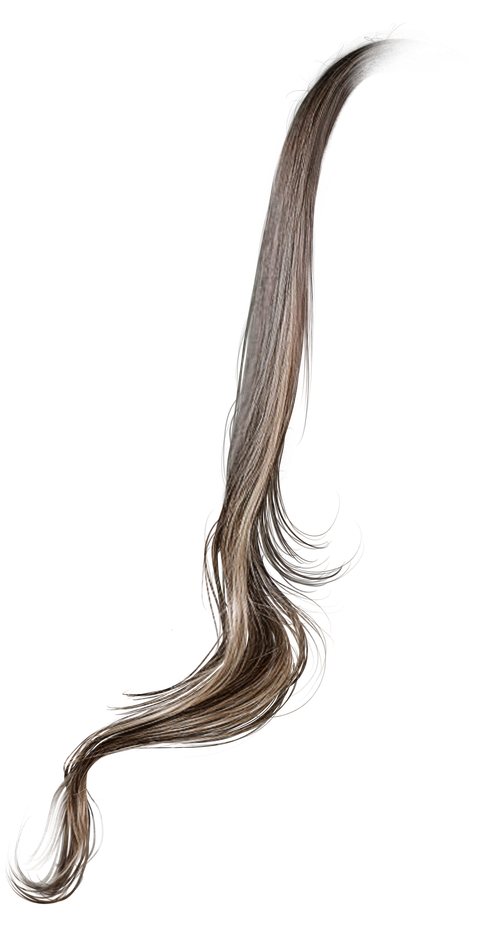 IMG 8840.png