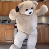 giphy 71.gif