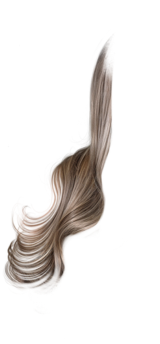 IMG 8822.png