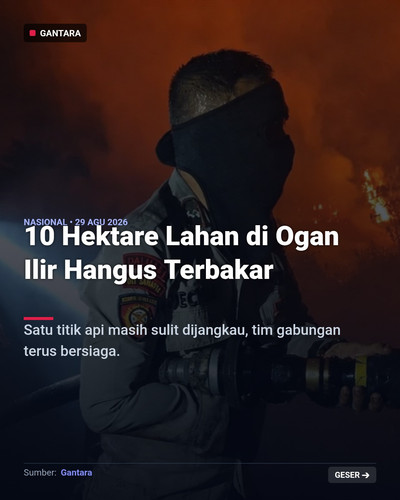 7b87a8e45a69.jpg
