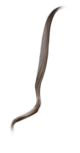 IMG 8844.png