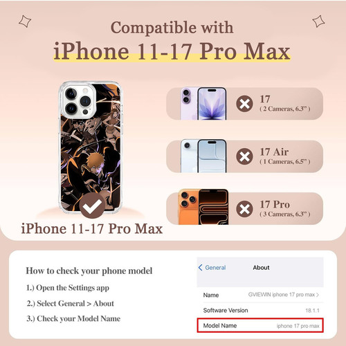 RR1011A01hme1hl 02.jpg