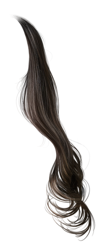 IMG 8845.png