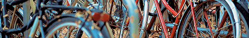 dl1c.png