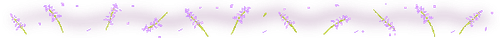 tumblr d94b90674e680746d1fc156f210e9648 adb14013 640.2