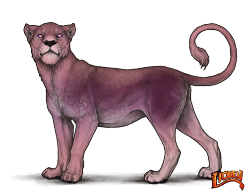 lioden wardrobe (4).png