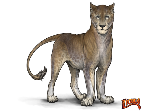 lioden wardrobe (1).png