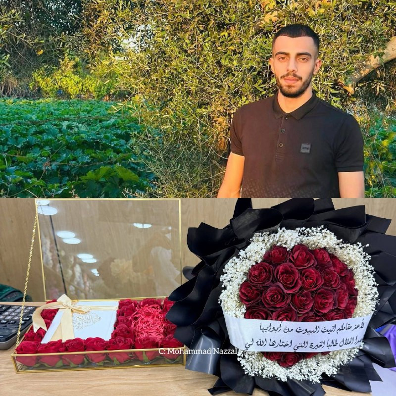 صورة الخبر
