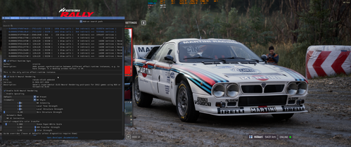 Assetto Corsa Rally Screenshot 2026.08.29 11.28.12.29