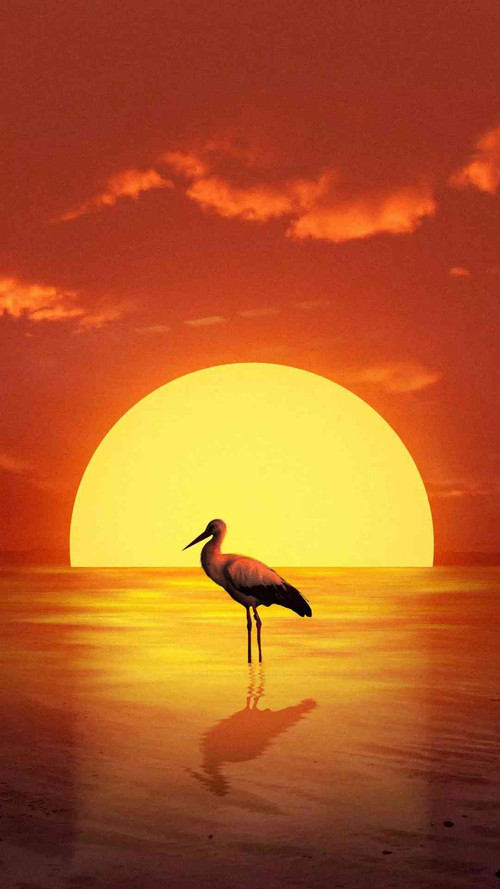 JPEG ২০২৬০৮২৯ ১২৩০৩৭ 7218903548085147000.jpg
