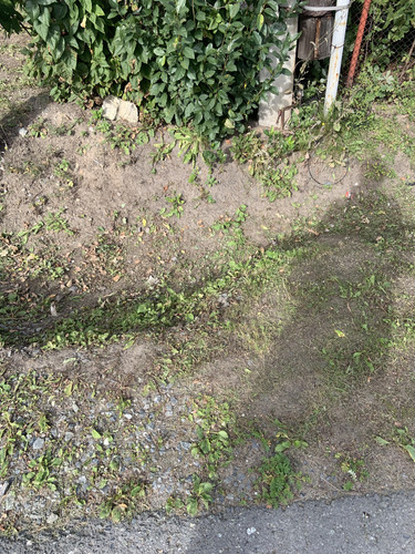 IMG 4713.jpg