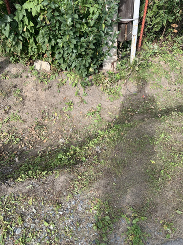 IMG 4712.jpg