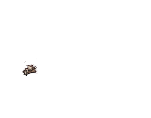 IMG 1203.png