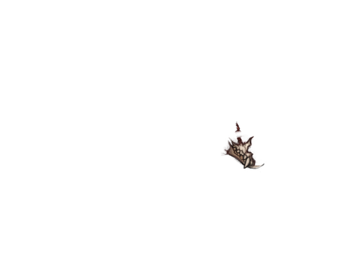 IMG 1204.png