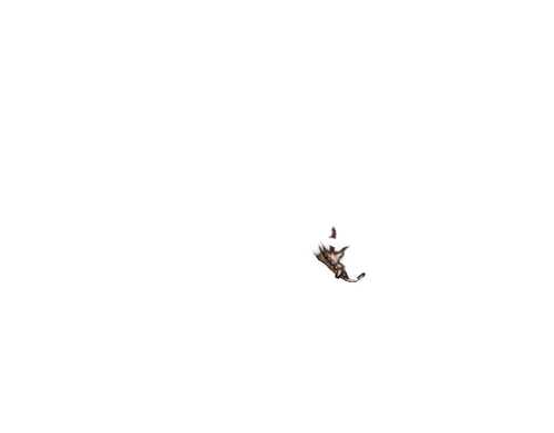 IMG 1198.png