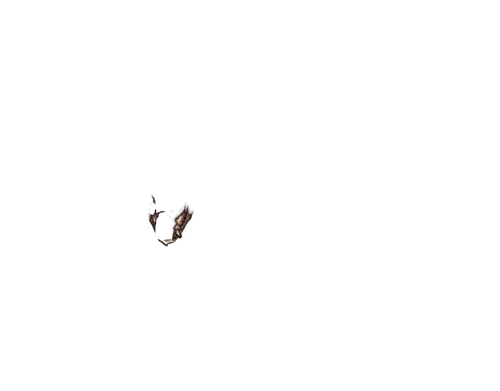 IMG 1202.png