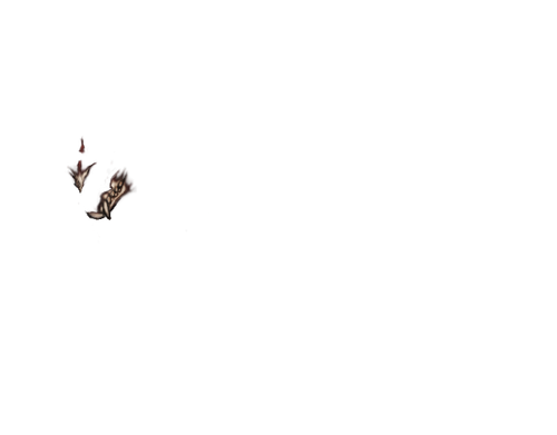 IMG 1201.png
