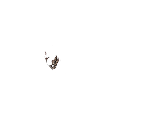 IMG 1200.png