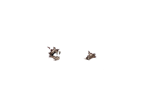 IMG 1197.png