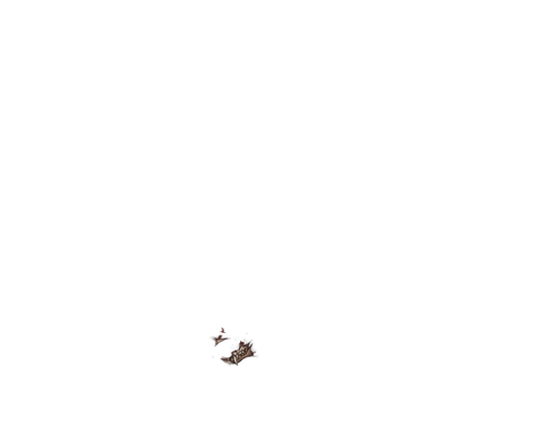 IMG 1195.png