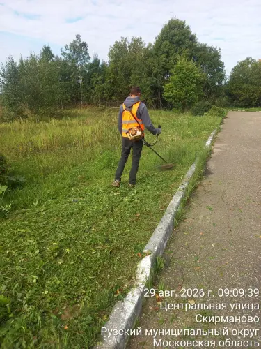 photo.webp