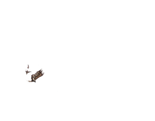 IMG 1192.png