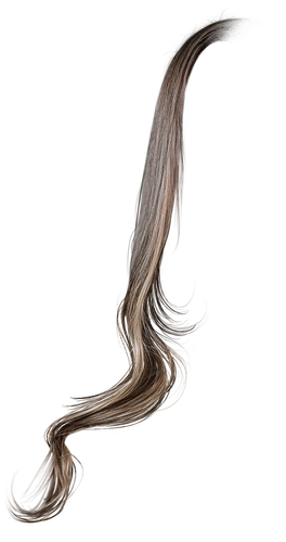 IMG 8805.png