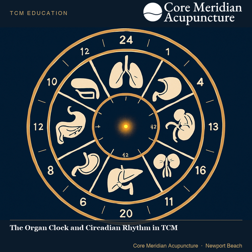 2026 09 03 organ clock circadian logo2.png