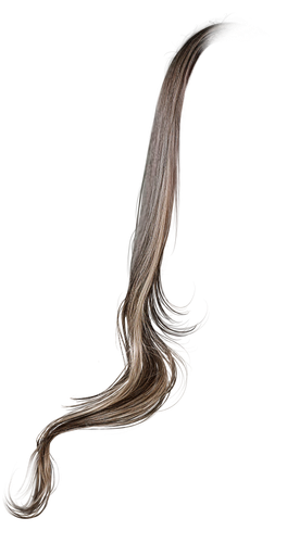 IMG 8807.png