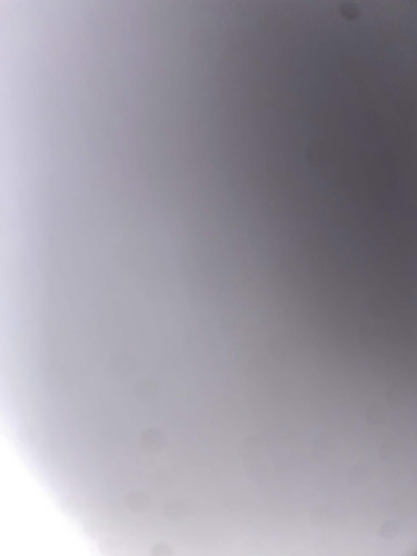 IMG 2343.jpg