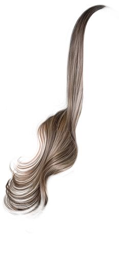 IMG 8808.png