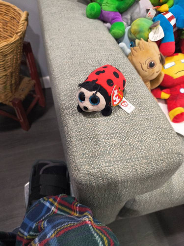 f00c7d430d69.jpg