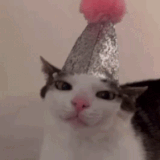 IMG 6365.gif