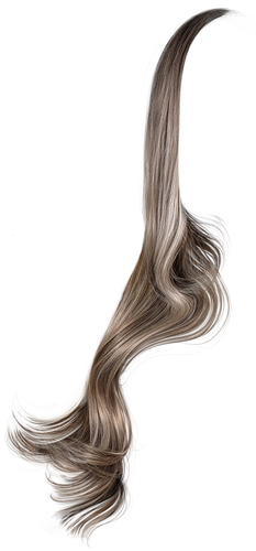IMG 8817.png