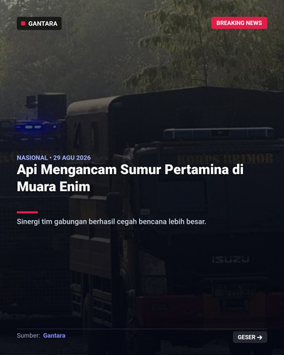 cd3397918930.jpg