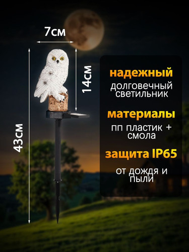 a8e8d292a644.jpg