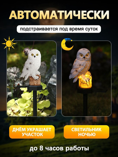 bd0fe06250b8.jpg